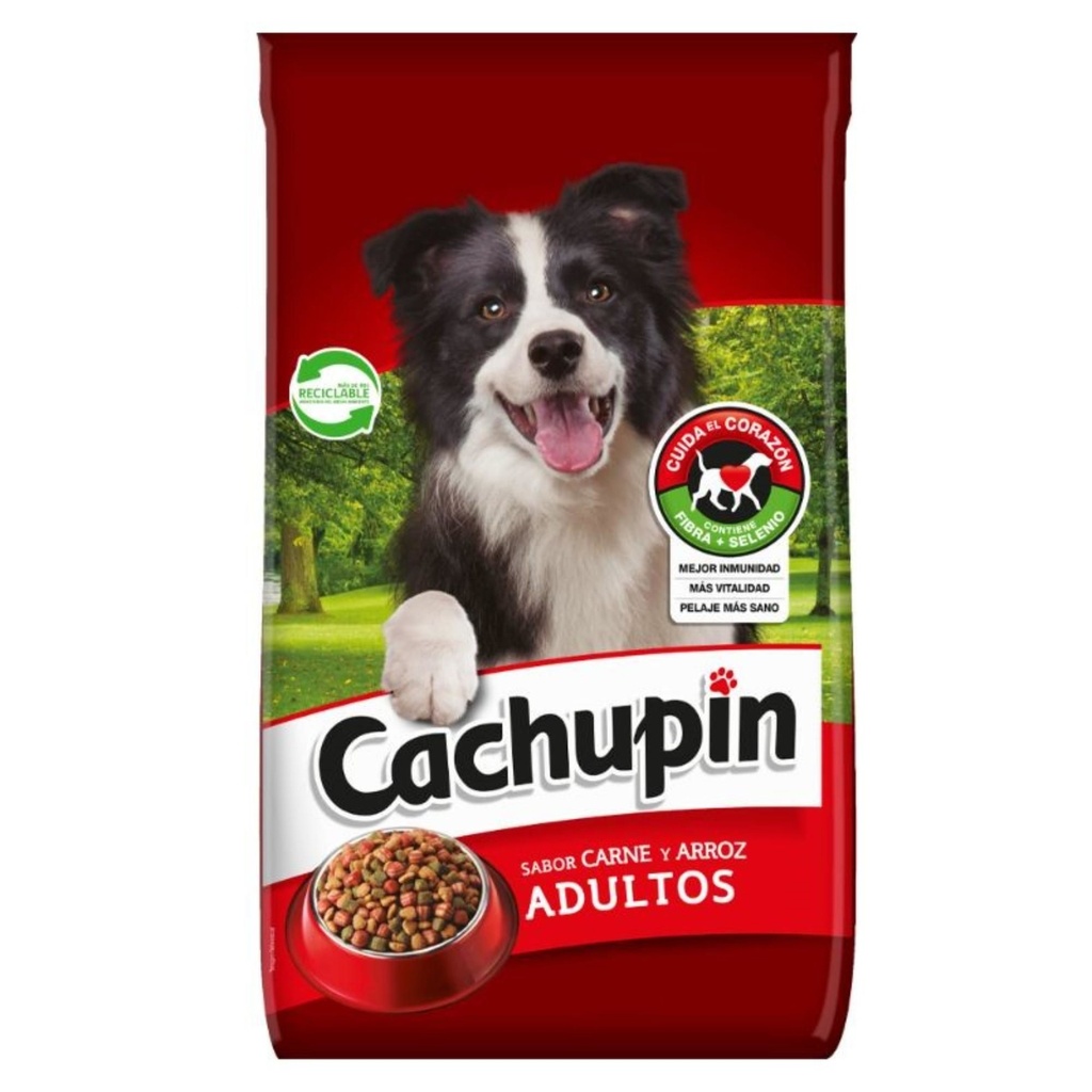 Alimento Seco Perro Adulto Carne y Arroz Bolsa 15 kg Cachupin