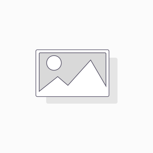 NUGGETS AMONG US 360GR